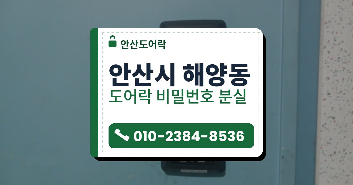 안산시 해양동 출장 — 하늘색 문에 세로로 달린 검은 카드형 보조키, 아래쪽 카드 그림과 9V 단자